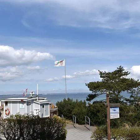 Seestern Nr 03 宁多夫